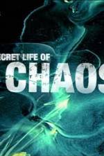 Watch The Secret Life of Chaos 2KMovies