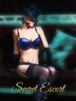 Watch Secret Escort 2KMovies