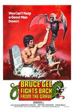 Watch Bruce Lee Fights Back from the Grave 2KMovies
