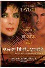 Watch Sweet Bird of Youth 2KMovies