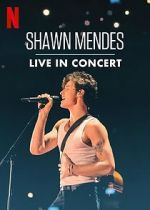 Watch Shawn Mendes: Live in Concert 2KMovies