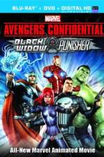 Watch Avengers Confidential: Black Widow & Punisher 2KMovies