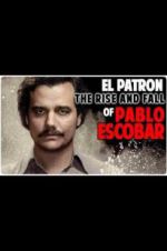 Watch The Rise and Fall of Pablo Escobar 2KMovies