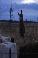 Watch Cowboy Christmas 2KMovies