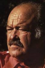 Watch The Return of Frank Cannon 2KMovies