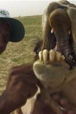 Watch With the Nomads 2KMovies