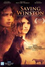 Watch Saving Winston 2KMovies
