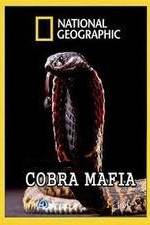 Watch National Geographic Cobra Mafia 2KMovies