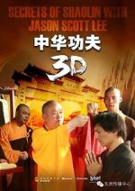 Watch Secrets of Shaolin with Jason Scott Lee 2KMovies