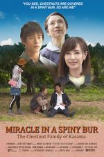 Watch Miracle in Kasama 2KMovies