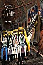 Watch Harry Potter and the Forbidden Journey 2KMovies