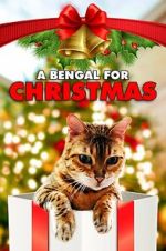 Watch A Bengal for Christmas 2KMovies