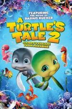 Watch A Turtle\'s Tale 2: Sammy\'s Escape from Paradise 2KMovies