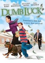 Watch Dumb Luck 2KMovies