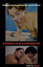 Watch A Shrink A Flat & A Broken Key 2KMovies