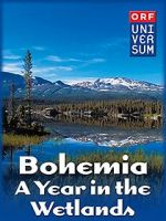 Watch Bohemia: A Year in the Wetlands 2KMovies