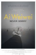 Watch Ai Weiwei Never Sorry 2KMovies