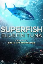 Watch Superfish Bluefin Tuna 2KMovies