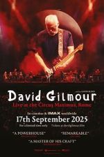 Watch David Gilmour Live at the Circus Maximus, Rome 2KMovies