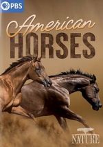 Watch American Horses 2KMovies