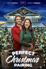 Watch A Perfect Christmas Pairing 2KMovies