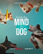 Watch Inside the Mind of a Dog 2KMovies