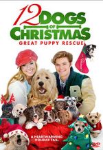 Watch 12 Dogs of Christmas: Great Puppy Rescue 2KMovies