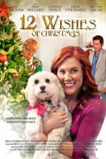 Watch 12 Wishes of Christmas 2KMovies