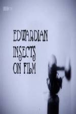 Watch Edwardian Insects on Film 2KMovies