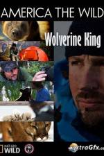Watch National Geographic Wild America the Wild Wolverine King 2KMovies