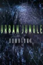 Watch National Geographic Wild Urban Jungle Downtown 2KMovies