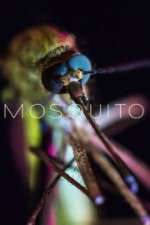 Watch Mosquito 2KMovies