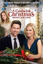 Watch A Godwink Christmas: Meant for Love 2KMovies
