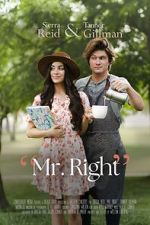 Watch Mr. Right 2KMovies