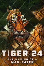 Watch Tiger 24 2KMovies