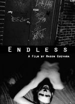 Watch The Endless 2KMovies