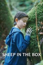 Watch Sheep in the Box 2KMovies