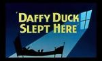 Watch Daffy Duck Slept Here (Short 1948) 2KMovies