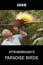 Watch Attenborough's Paradise Birds 2KMovies