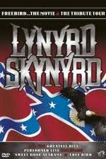 Watch Lynrd Skynyrd: Tribute Tour Concert 2KMovies