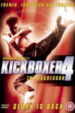 Watch Kickboxer 4: The Aggressor 2KMovies