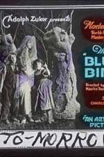 Watch The Blue Bird 2KMovies