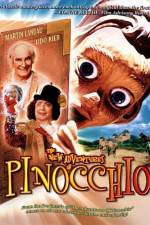 Watch The New Adventures of Pinocchio 2KMovies
