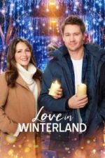 Watch Love in Winterland 2KMovies