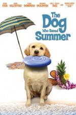Watch The Dog Who Saved Summer 2KMovies