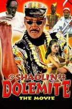 Watch Shaolin Dolemite 2KMovies