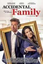 Watch Accidental Family 2KMovies