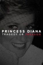 Watch Princess Diana: Tragedy or Treason? 2KMovies