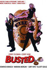 Watch Busted 2KMovies