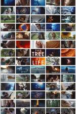Watch The Tree of Life 2KMovies